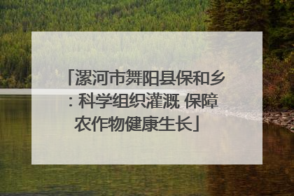 漯河市舞阳县保和乡：科学组织灌溉 保障农作物健康生长